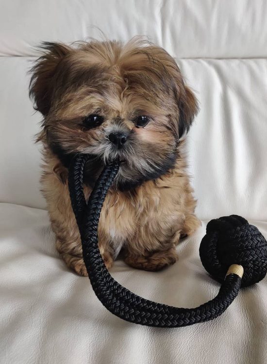 WhatsApp Image 2025-12-07 at 1.57.34 AM