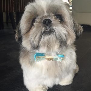 WhatsApp Image 2025-12-07 at 1.58.45 AM