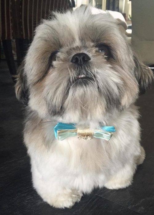 WhatsApp Image 2025-12-07 at 1.58.45 AM