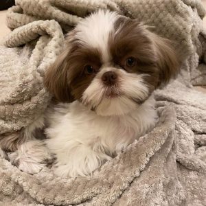 WhatsApp Image 2025-12-07 at 1.59.47 AM