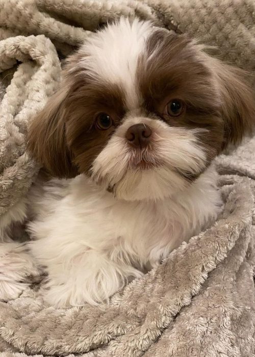 WhatsApp Image 2025-12-07 at 1.59.47 AM