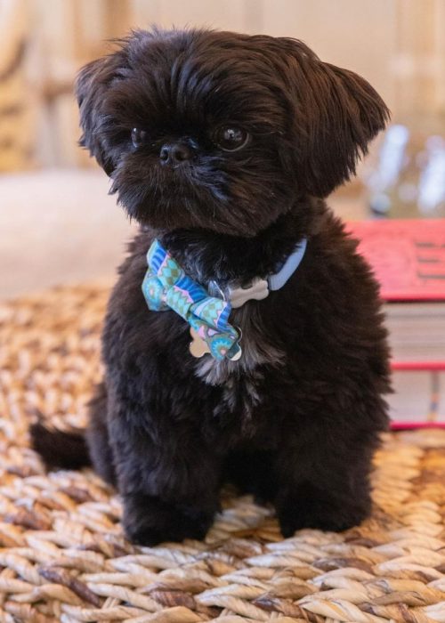 WhatsApp Image 2025-12-07 at 2.01.01 AM