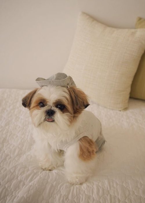 WhatsApp Image 2025-12-07 at 2.03.16 AM