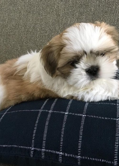 WhatsApp Image 2025-12-07 at 2.05.03 AM