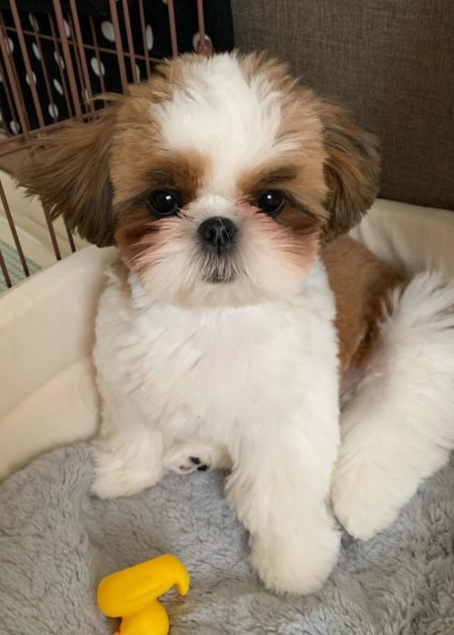 WhatsApp Image 2025-12-07 at 2.07.58 AM