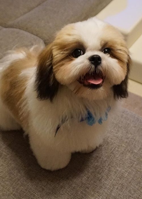 WhatsApp Image 2025-12-07 at 2.10.22 AM